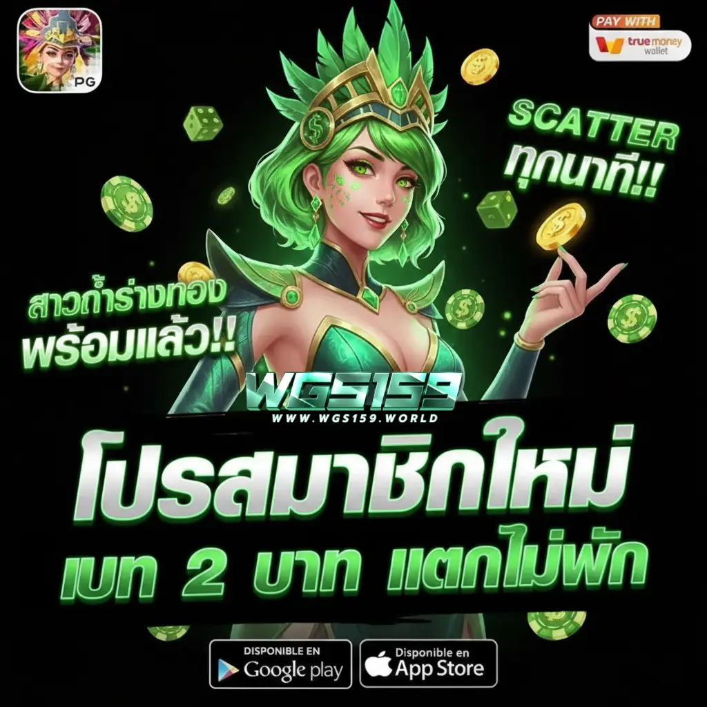 wgs159 ทางเข้า